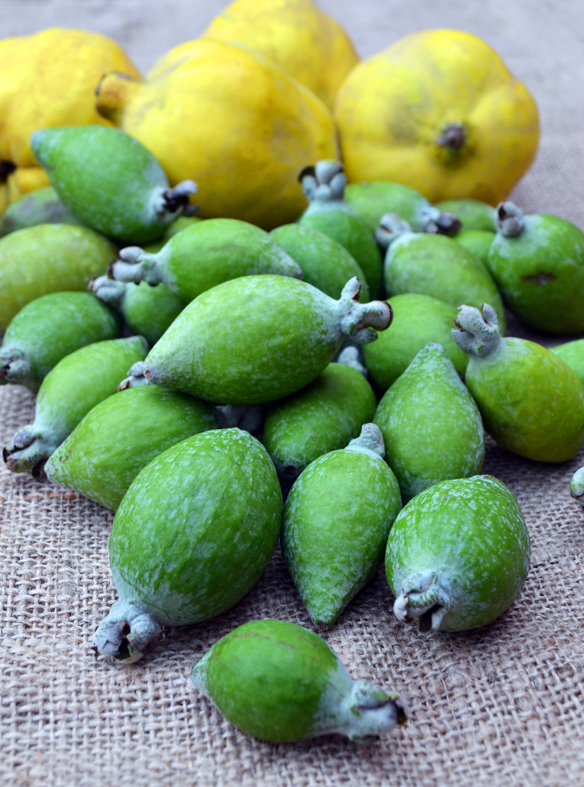 Feijoas and quinces